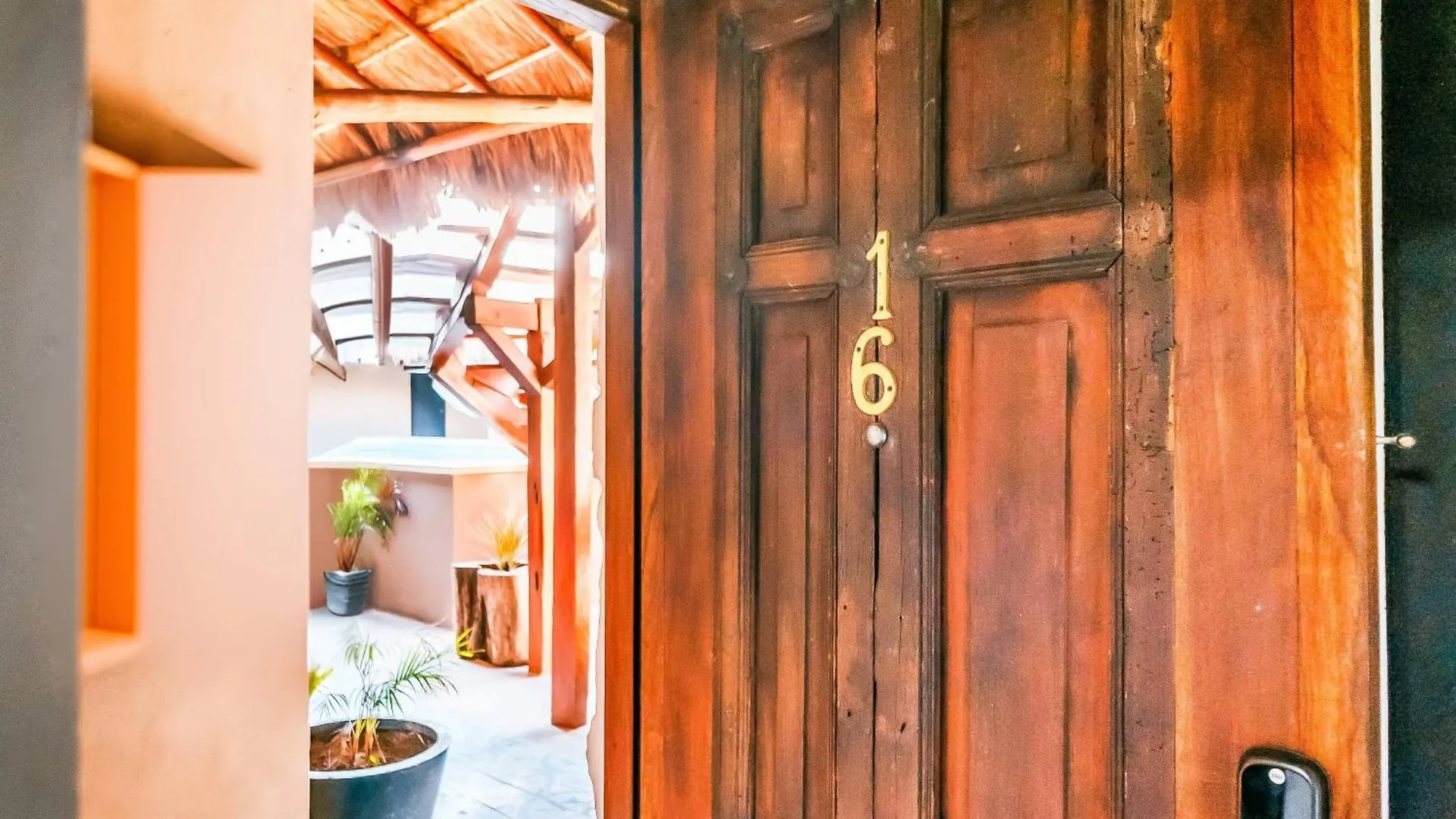 Διαμέρισμα Mi Cielo Boutique Studios Τουλούμ Μεξικό